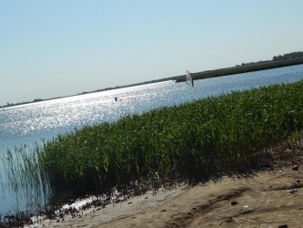 DSCN3528 DSCN3528