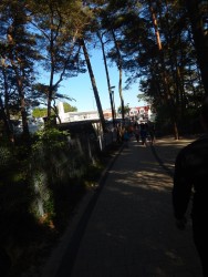 DSCN3534 DSCN3534