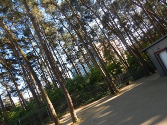 DSCN3535 DSCN3535