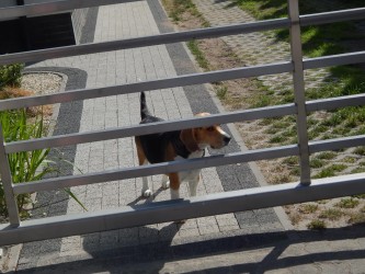 DSCN3544 DSCN3544