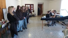 photo7