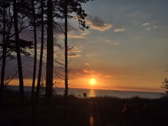 img wa0039