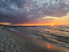 img wa0054