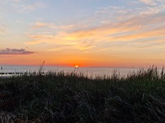 img wa0060