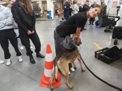 photo19