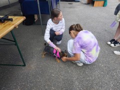 photo19