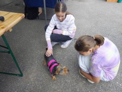 photo28